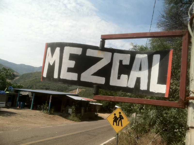 Illustration for article titled An Incomplete Survey of VWs in Oaxaca, Mexico